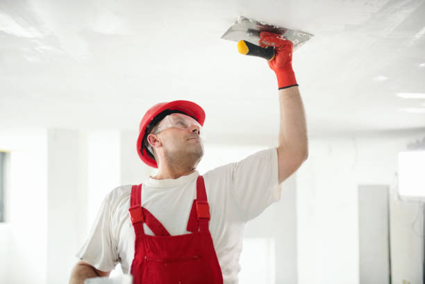 Best Water-Damaged Drywall Repair  in Rainsville, AL